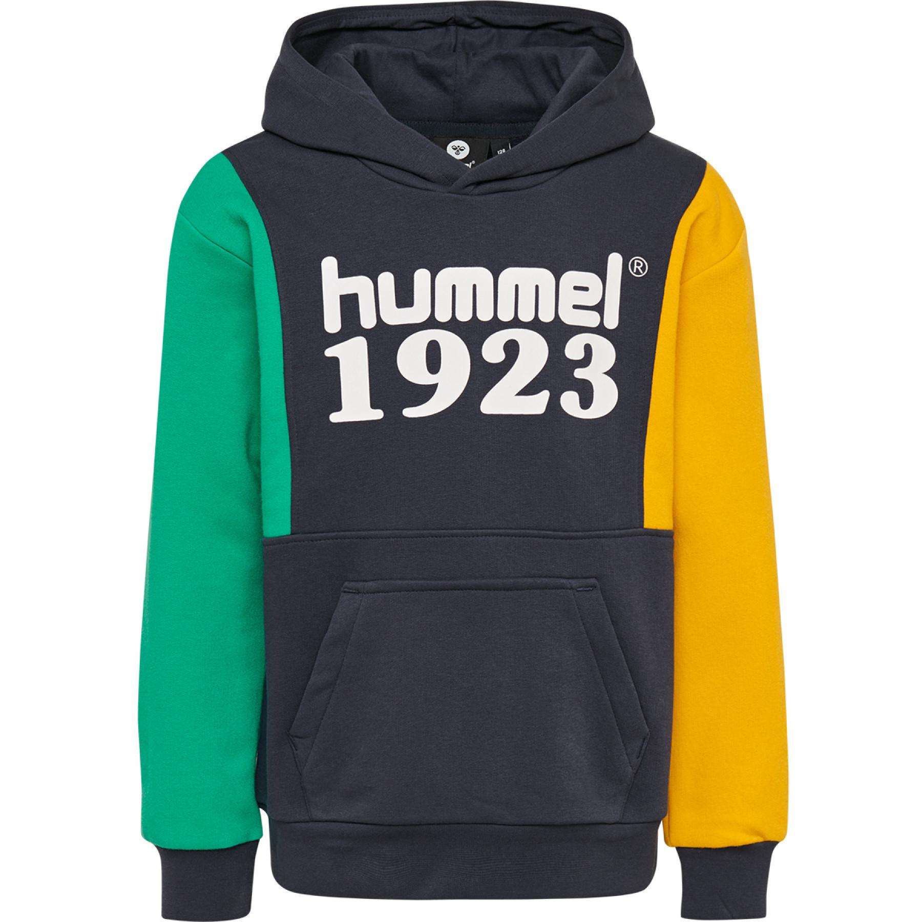 Kid hoodie Hummel hmlpresley