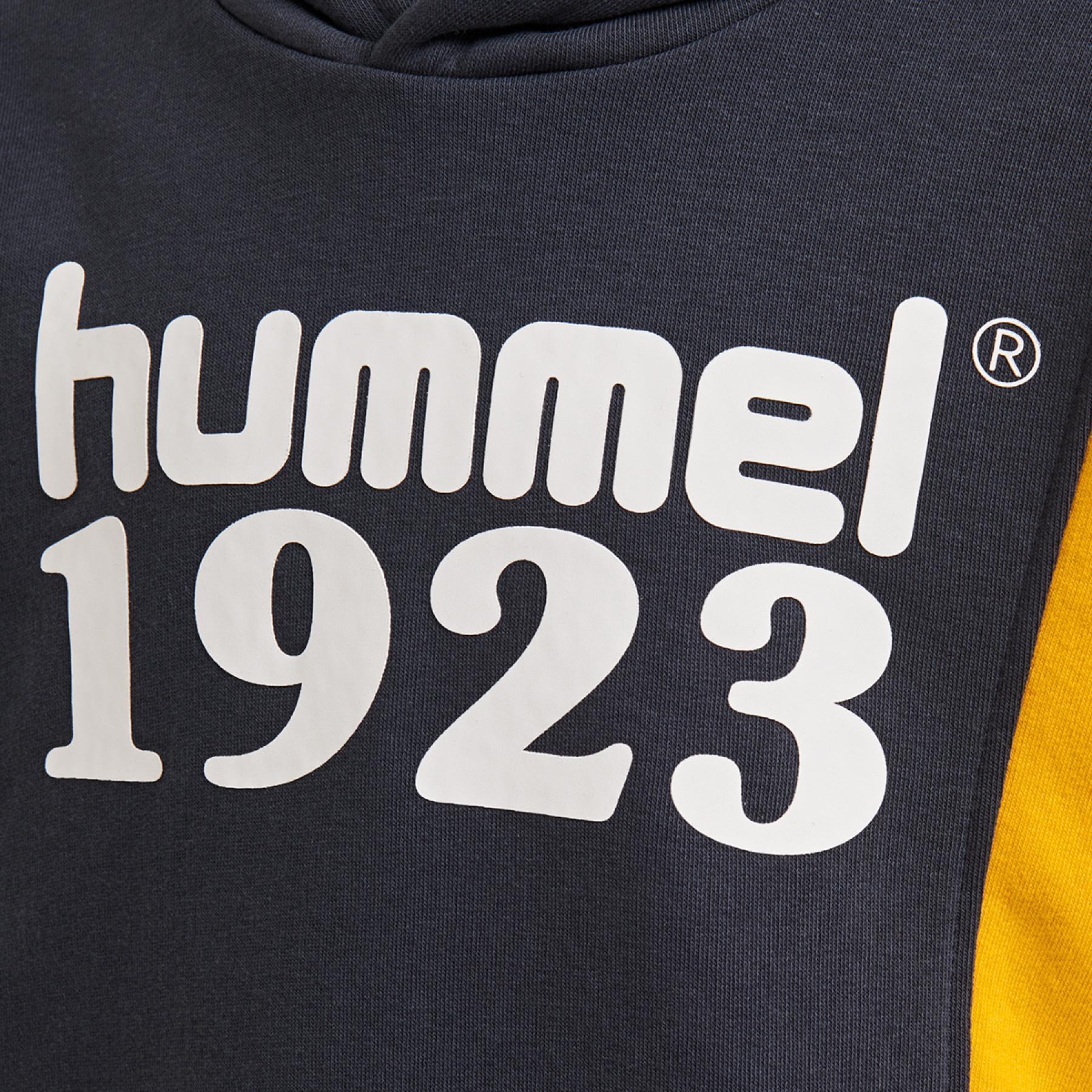 Kid hoodie Hummel hmlpresley